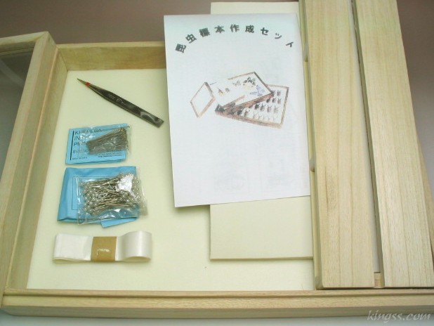 昆虫標本作成セット クワガタやカブトムシ、蝶などの標本を作るための