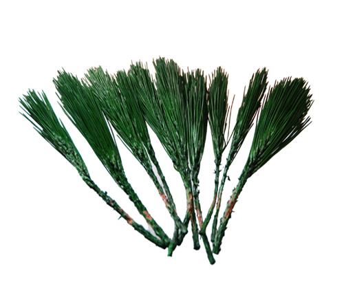 大地農園・みやこ松・小枝・グリーン・アウトレット | プリザーブド