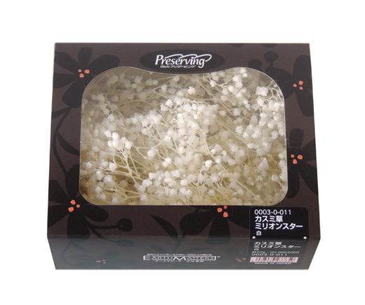 大地農園・カスミ草・ミリオンスター・白・アウトレット