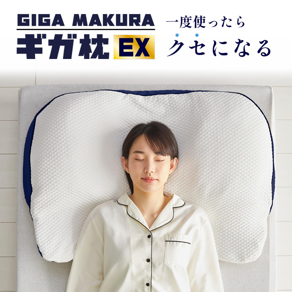 ギガ枕EX/GI-10000 – 西川ストア公式本店