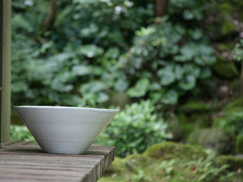 酒の器Toyoda 正島克哉