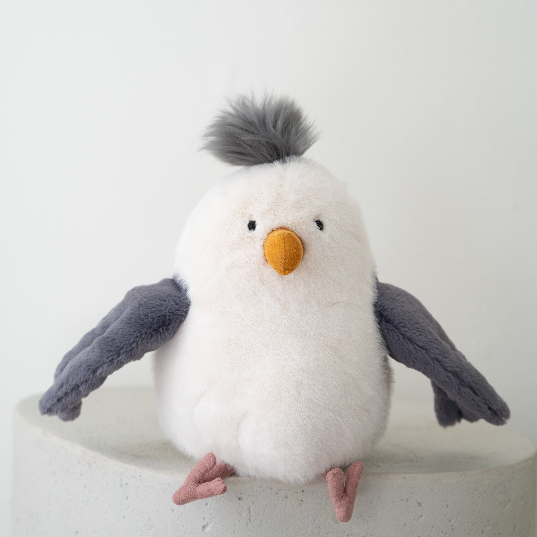 Chip Seagull – SOCCO Living