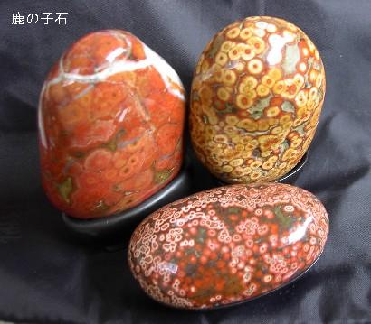 にしき石の種類