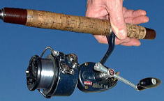 マイナーミッチェル