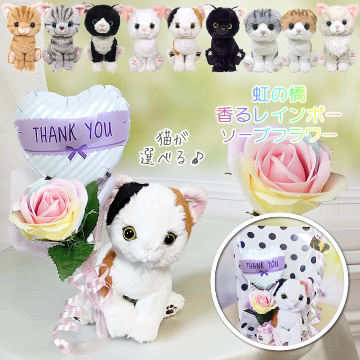 お悔み お供え 猫 ぬいぐるみ 虹色 花 黒猫/ミケ/スコティシュ