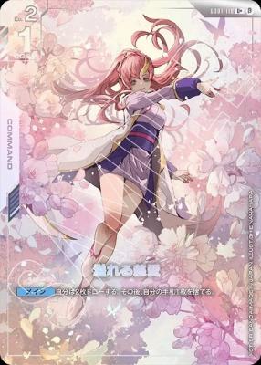 溢れる慈愛(パラレル) 【GCGGD01/118U+】｜TCGシングルカード通販なら