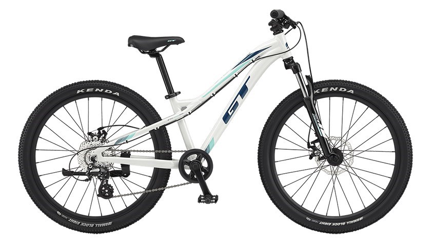 GT(ジーティー) STOMPER ACE 24 V2(ストンパーエース24) 2023年モデル