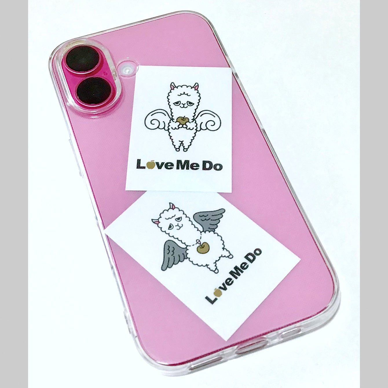 Love Me Doの大予言2026～人が人を支配する最後の年～』書籍＋