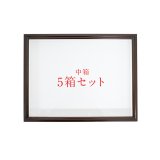 T-WOOD｜昆虫標本箱（ドイツ箱）・収納庫専門店