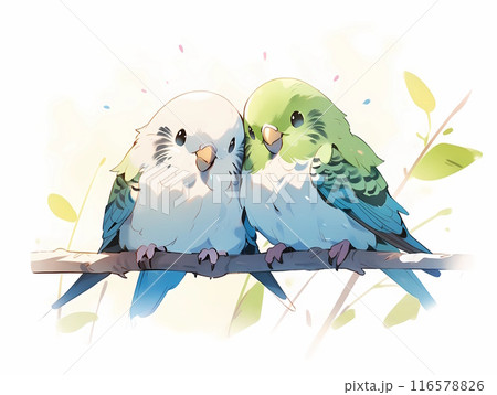 水彩風の2羽の仲良しセキセイインコ4のイラスト素材 [116578826] - PIXTA