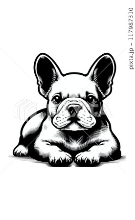 フランスのフレンチ・ブルドッグのモノトーン画像。小型でフレンドリー