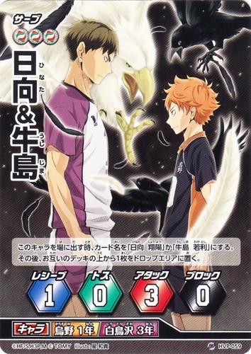 ハイキュー!! 日向翔陽 牛島 2体 カード名「日向＆牛島」(1 枚)｜