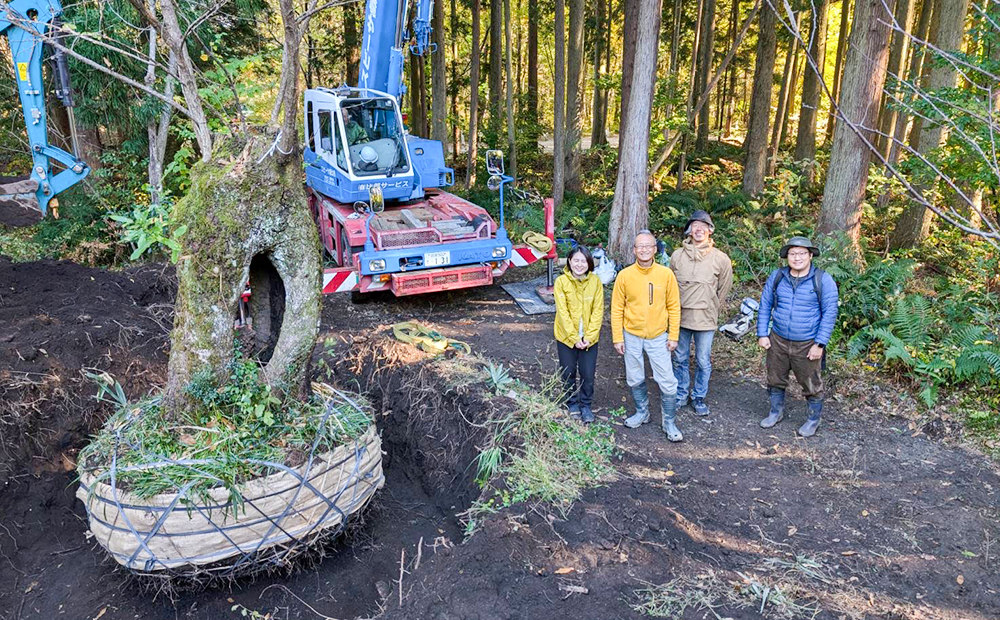 LAGO活動日誌⑦ ～やまおやじの根巻き～ | LAGO | たねや