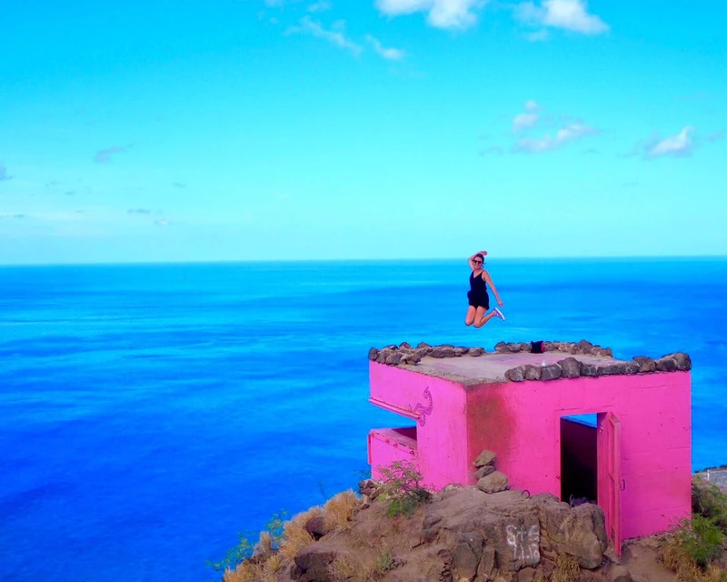 ホノルル ピンクピルボックス＆ワイケレアウトレットツアー - 【公式