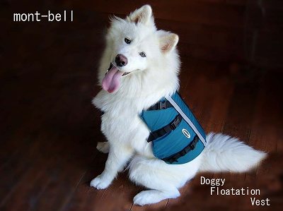犬用ライフジャケット mont-bell モンベル ドギーフローテーション