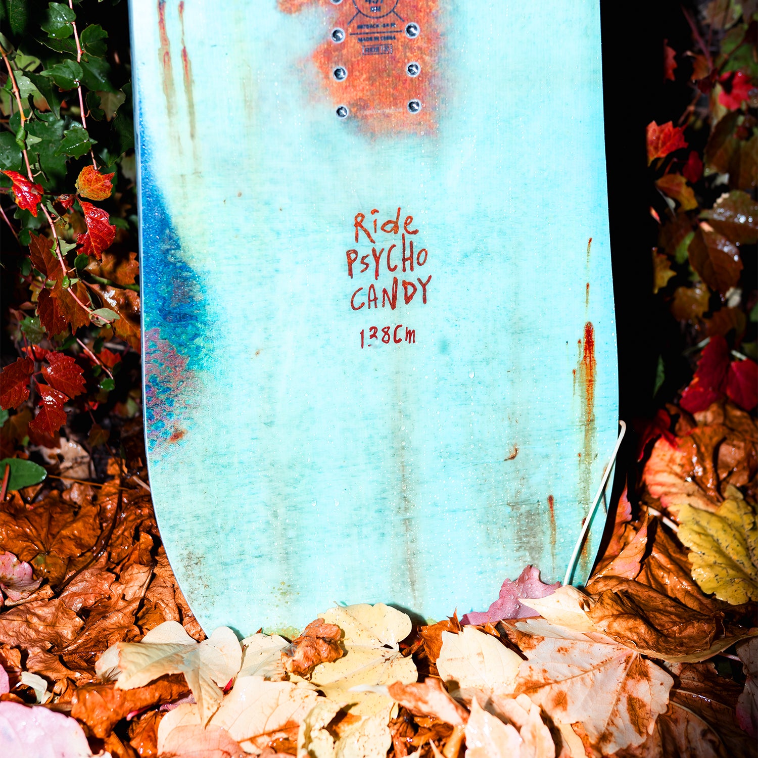 RIDE SNOWBOARD（ライド スノーボード）| PSYCHOCANDY - サイコ