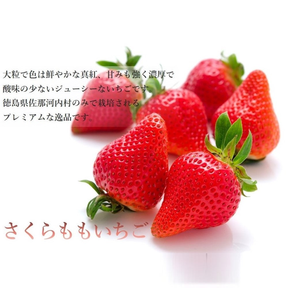 新宿高野 さくらももいちごC – 新宿高野オンラインショップ