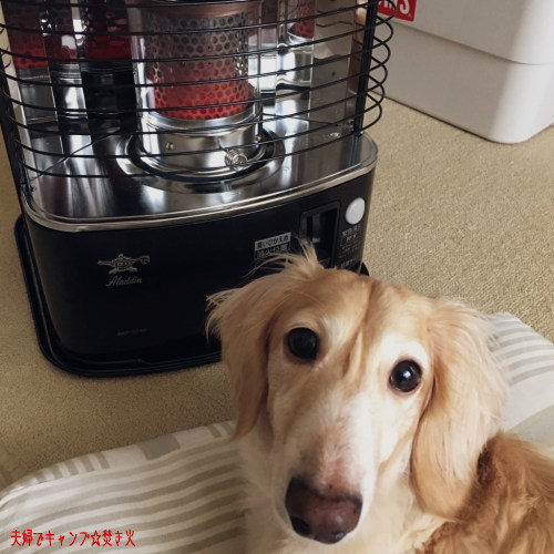 しろくまさん専用 アラジンストーブ AKP-S248 アラジン（Aladdin） AKP-S248 石油ストーブ [木造7畳まで