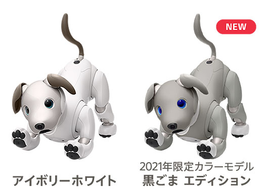 aiboオリジナル 蝶ネクタイをもれなくプレゼント！『aiboと過ごす夏