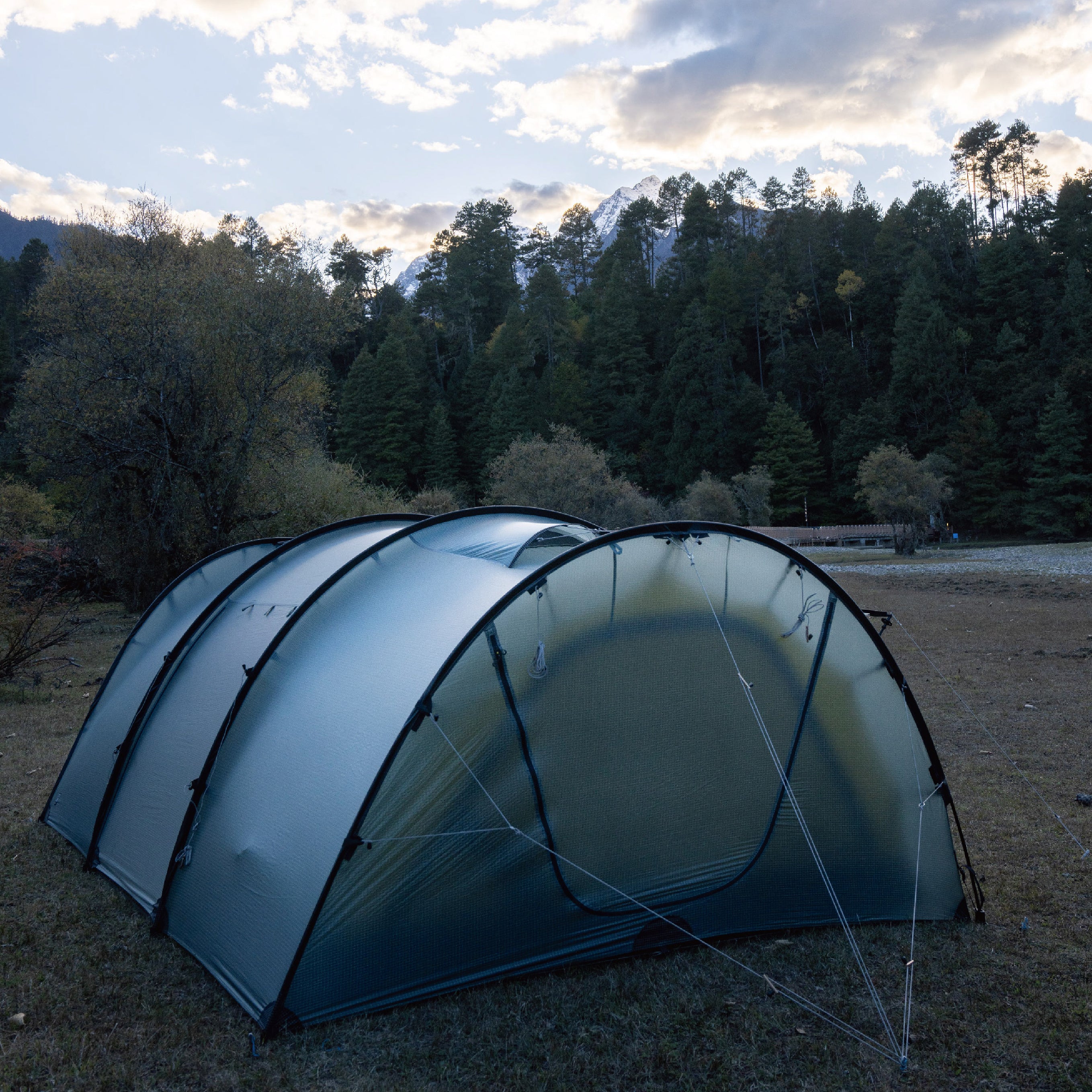 Watchtower – THE FREE SPIRITS