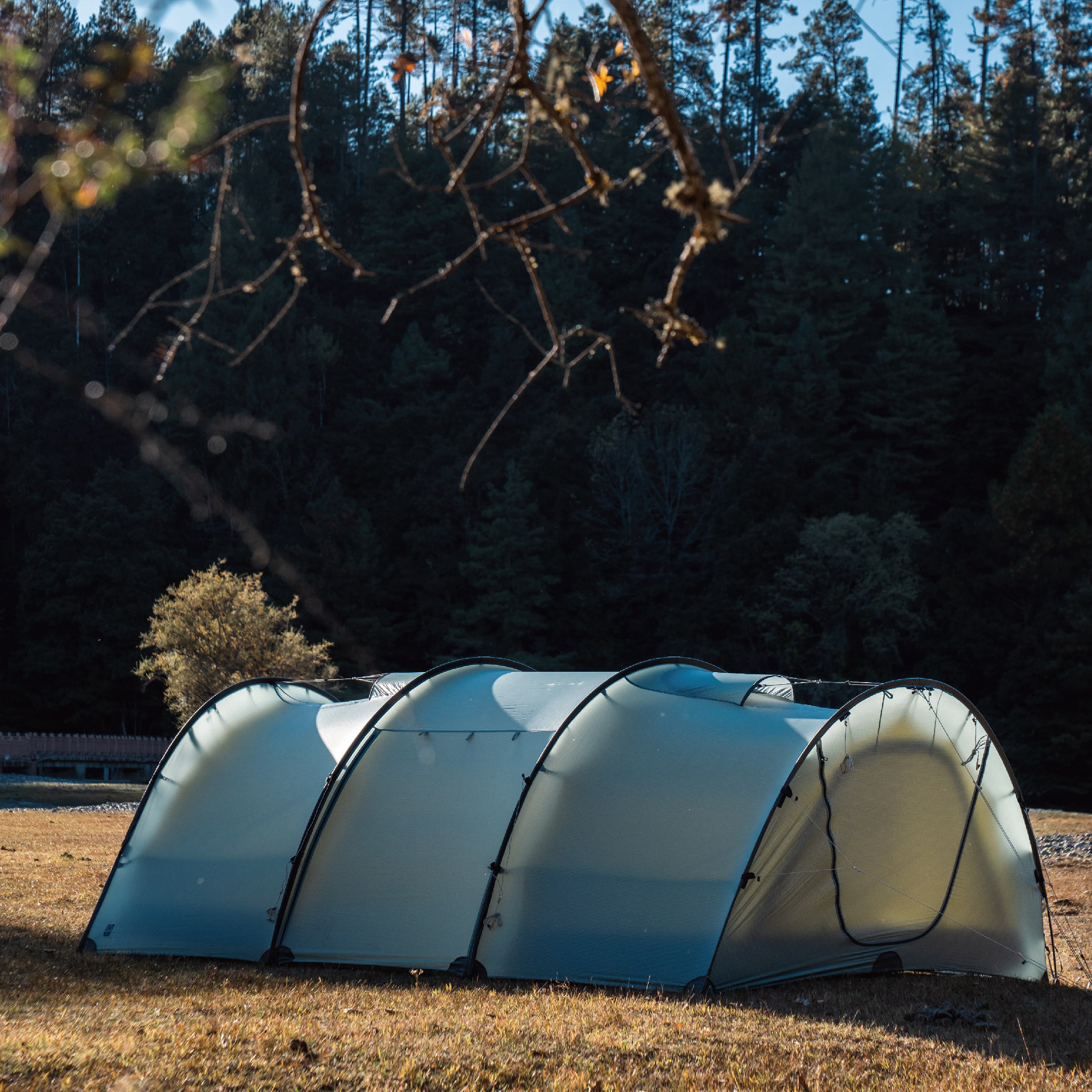 Watchtower – THE FREE SPIRITS