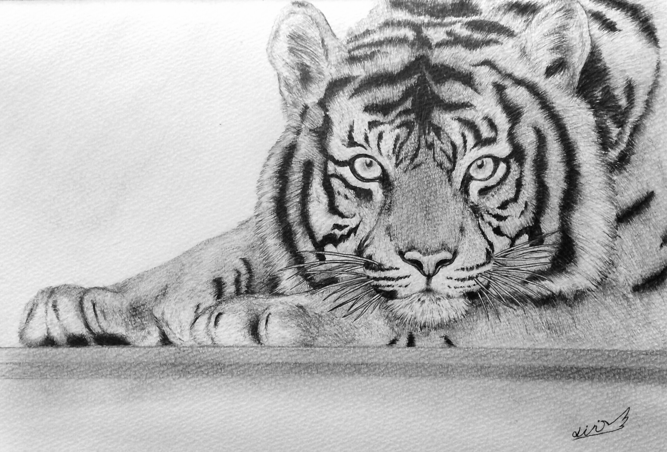 虎 | air ｜インテリア絵画 アートの専門通販 thisisgallery