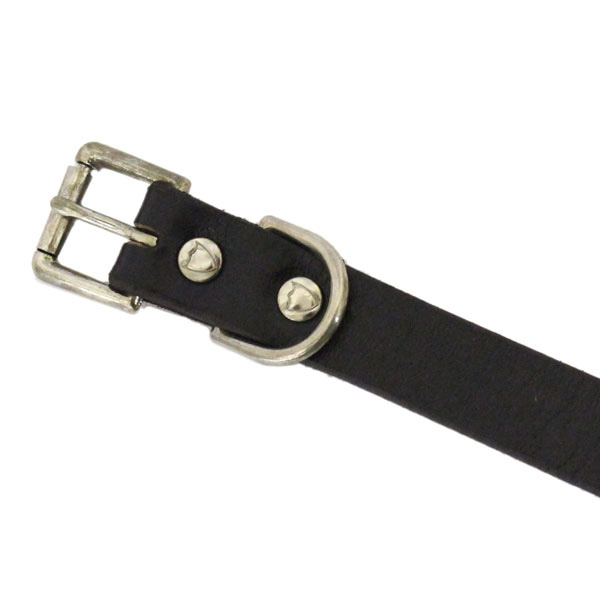 正規取扱HTC(Hollywood Trading Company) SN-32 Narrow Studs Belt