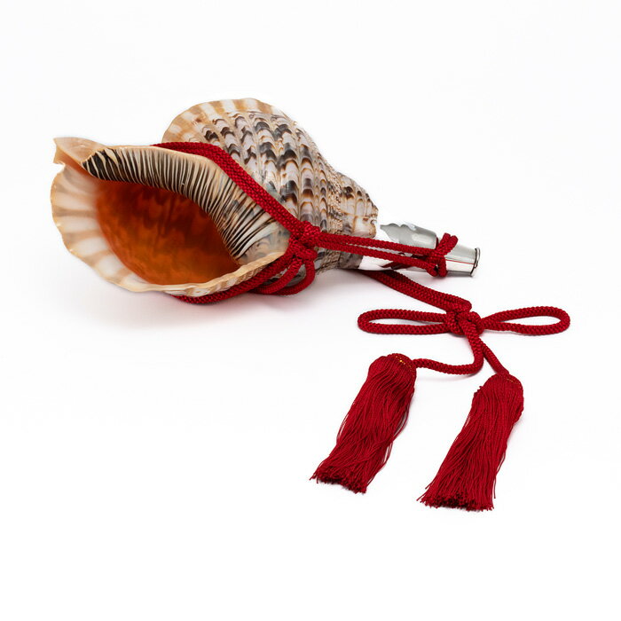 ②中 ホラ貝 法螺貝 螺貝 ラッパ 雅楽 和楽器 古玩 旧家 蔵出 骨董品