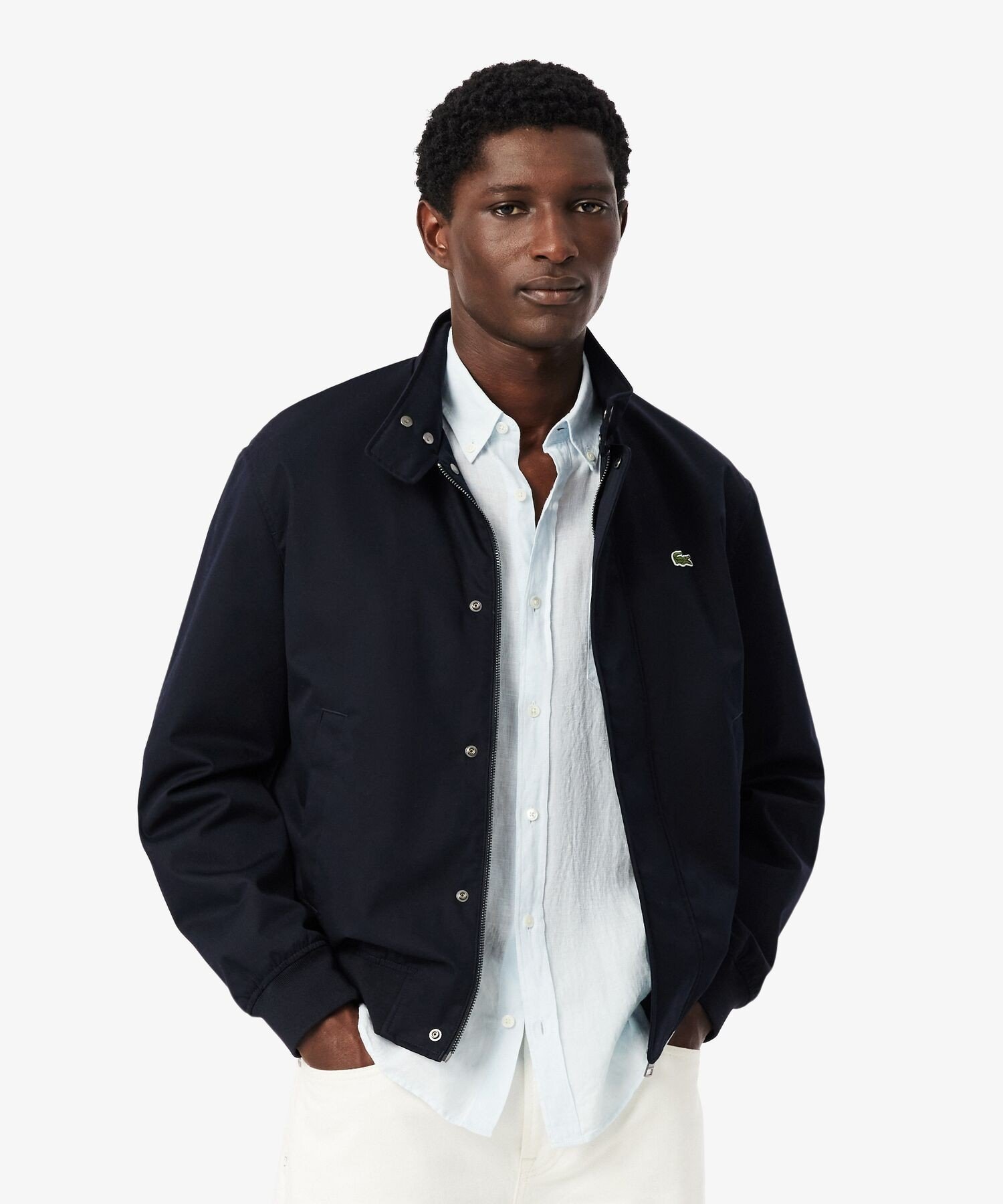 楽天市場】ハリントンジャケット（ブランドラコステ）の通販