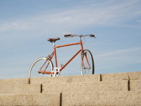 TOKYOBIKE SS (ホワイト・シルバースポーク) 用ホイール 650C シングル