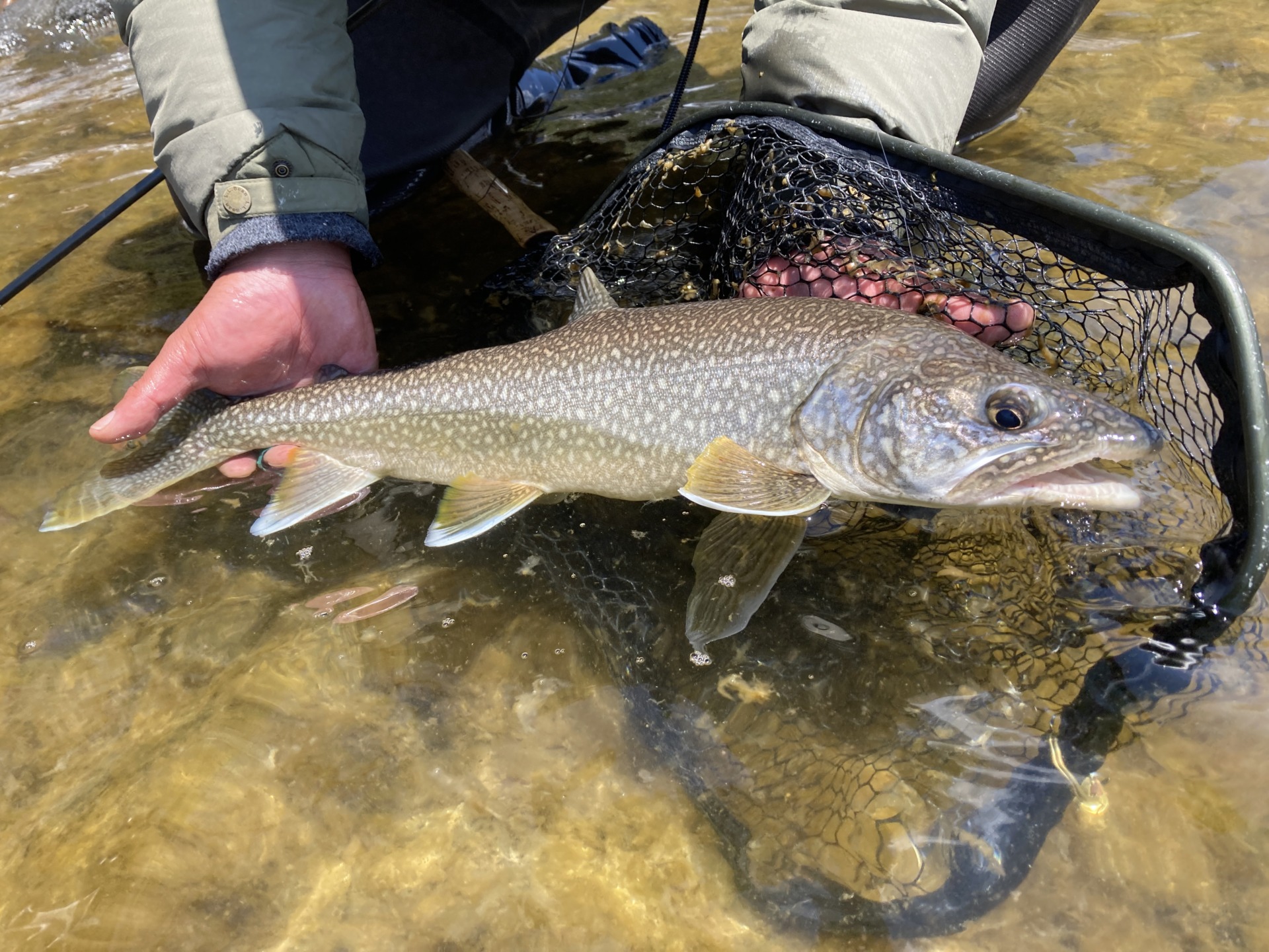 トラウト ブレスレット シムス好きな方にオススメ フライフィッシング