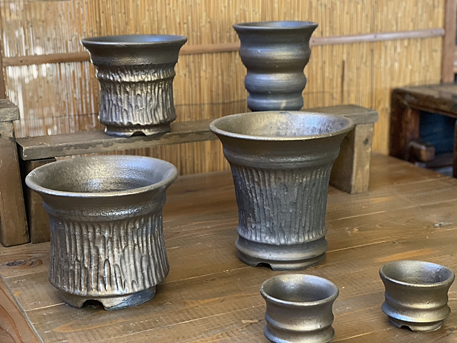 YOKOYAMA CAUDEX ART益子本店 ～塊根植物とアガベ鉢専門店～ | 益子焼