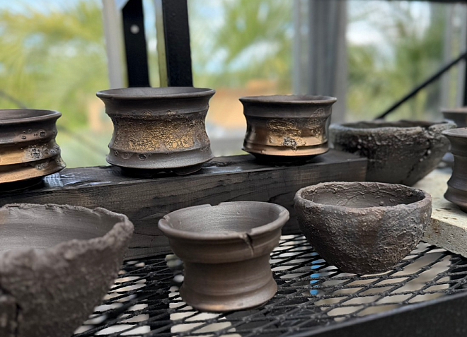 GOOD DAYS高根沢店（塊根植物店）にてよこやま鉢販売開始！ | 益子焼