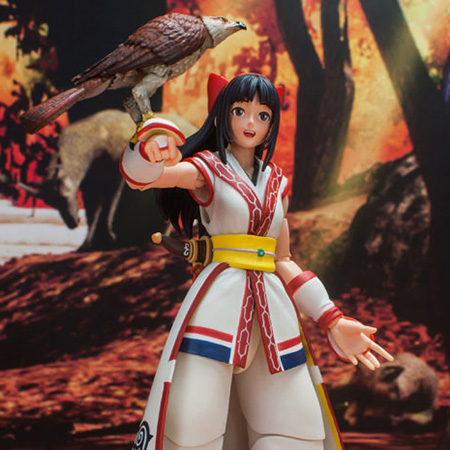 サムライスピリッツ】『ナコルル』可動フィギュア【ストーム