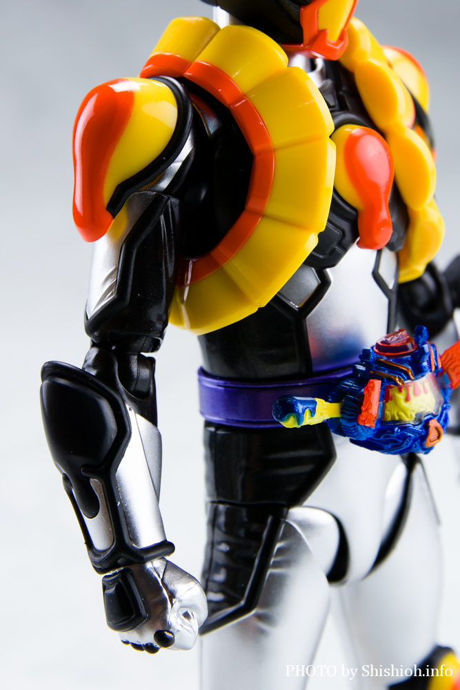 レビュー】S.H.Figuarts 仮面ライダーヴラム プリンカスタム