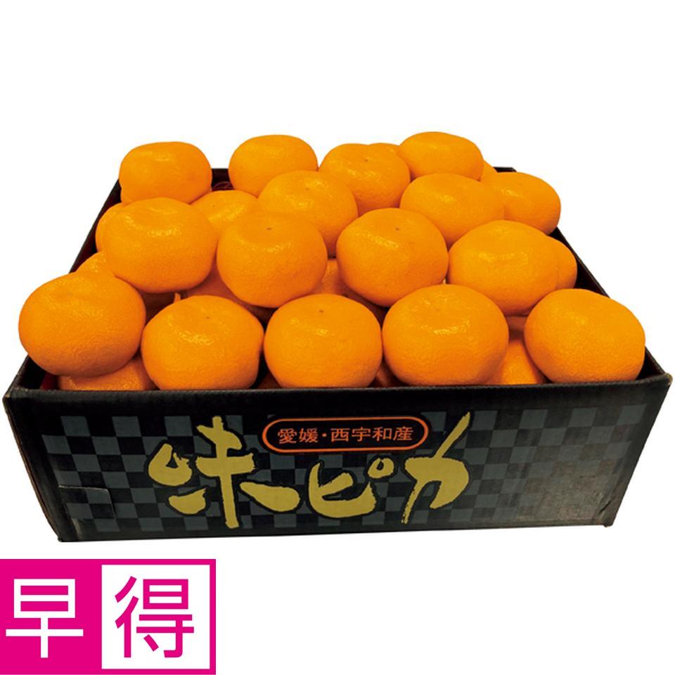 楽天市場】【冬の贈りもの早得】愛媛県産（JAにしうわ川上共選）味