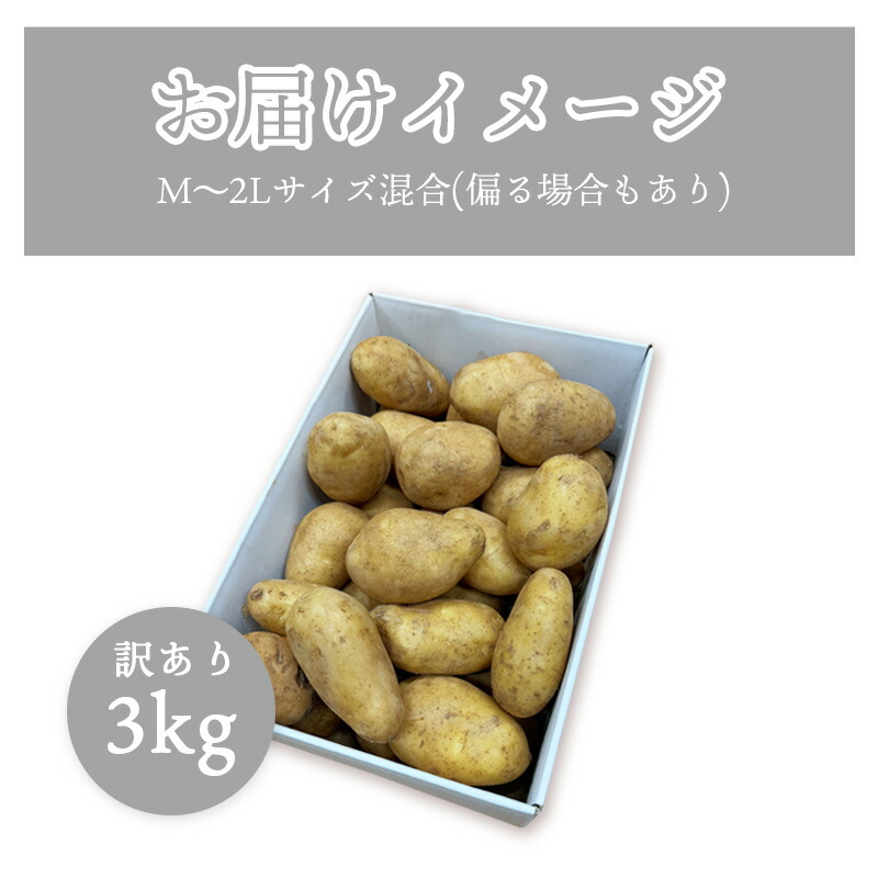 楽天市場】【5％OFFクーポン】選べるメークイン or 男爵 じゃがいも
