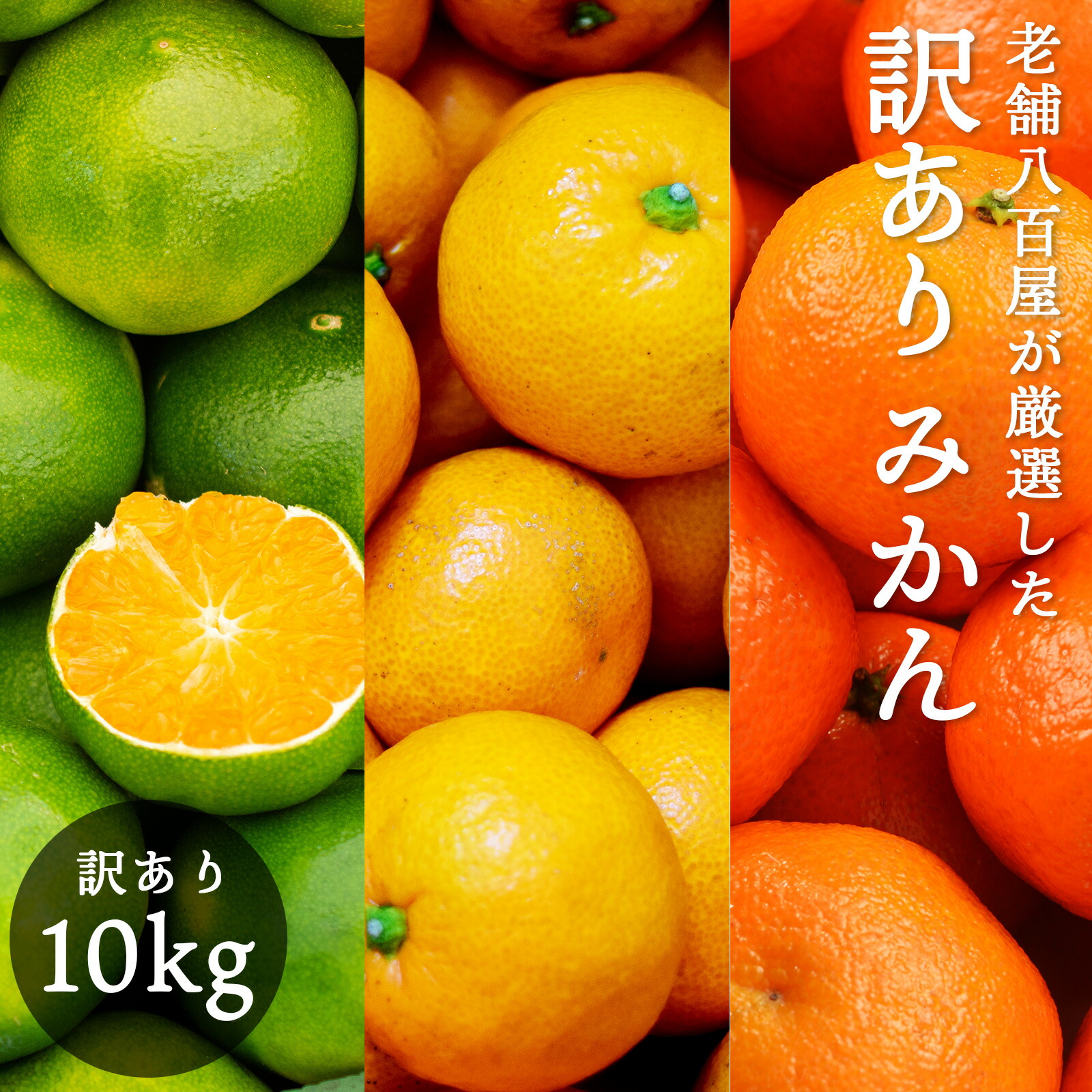 みかん 箱 送料無料」の人気商品一覧 | 安い商品を通販サイトから探す