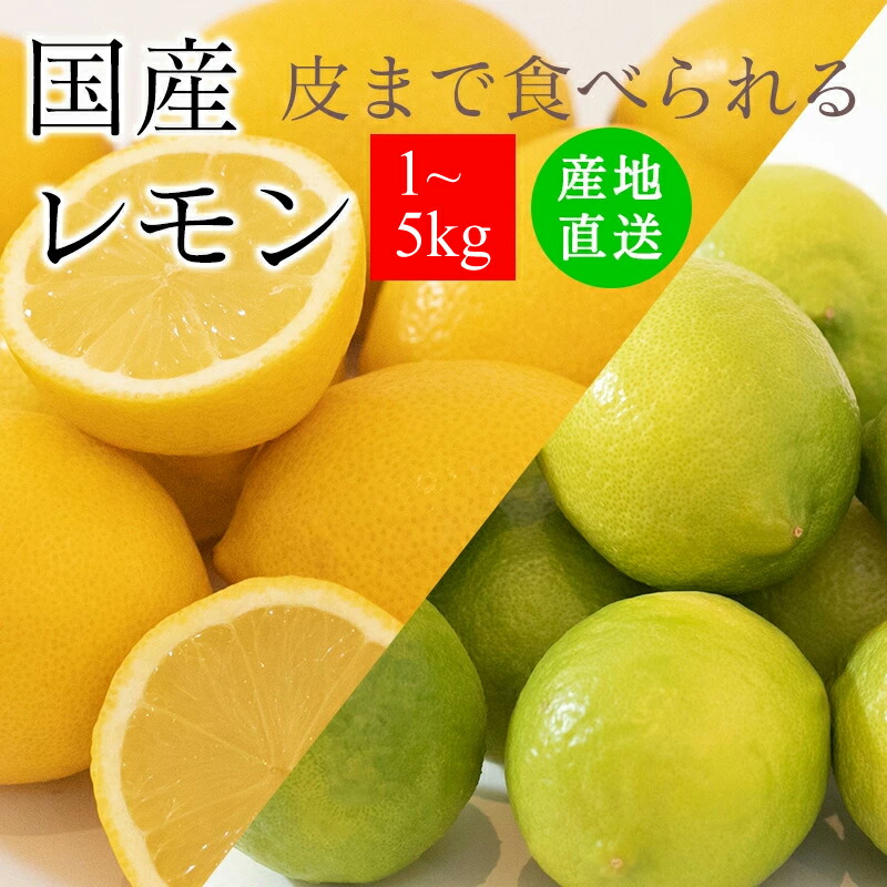 楽天市場】レモン 国産レモン 訳あり 1kg 2kg 3kg 5kg＜ 皮まで食べ