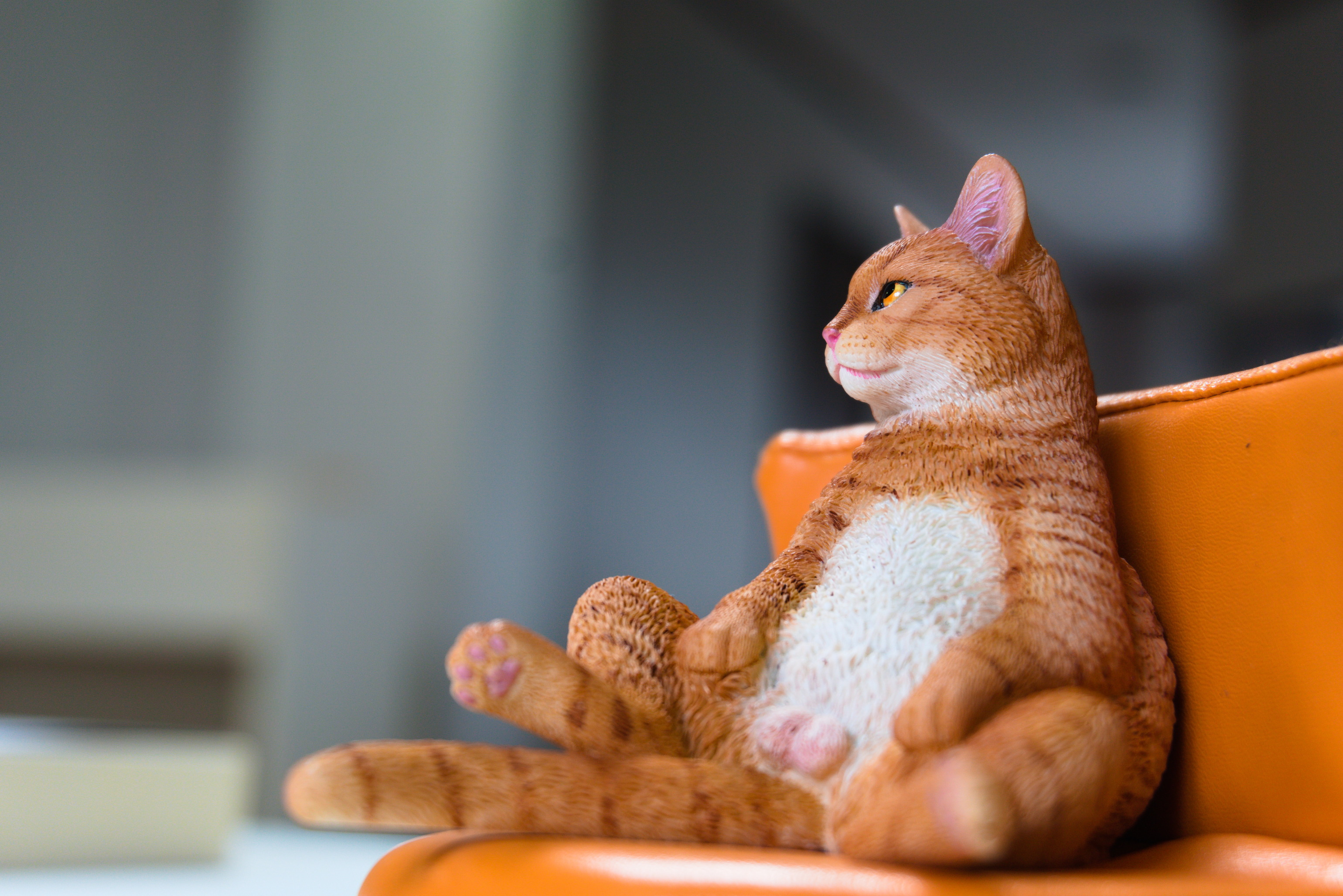 楽天市場】JXK Studio 猫フィギュア JXK 1/6 中華田園猫2.0 ソファー