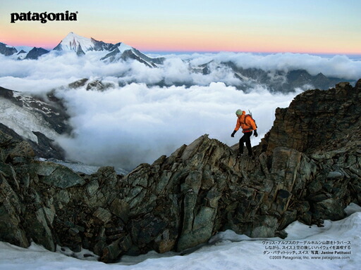 楽天市場】50%OFF 半額 楽天スーパーセール パタゴニア レディース