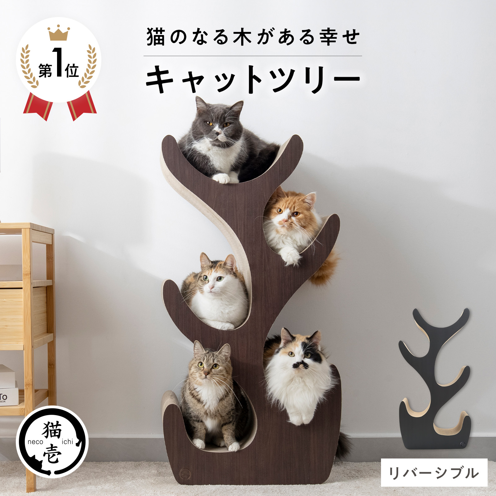 楽天市場】猫壱公式限定 キャットツリー レギュラー キャットタワー