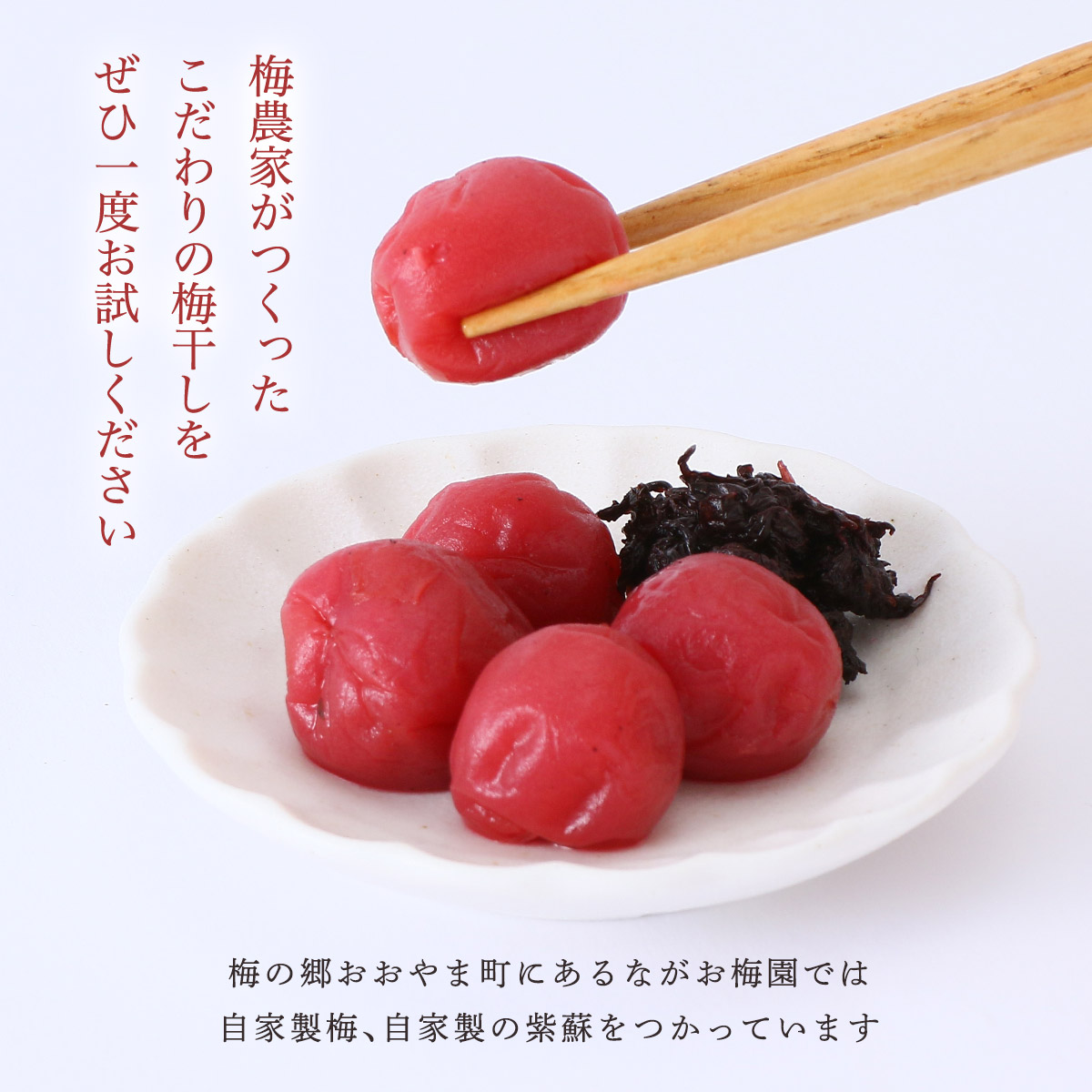 楽天市場】[ながお梅園] 梅干し 小梅干し130g 透明丸パック /うめぼし