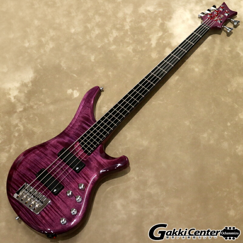 楽天市場】Vigier Arpege 5 strings, V5ECC, Amethyst Purple