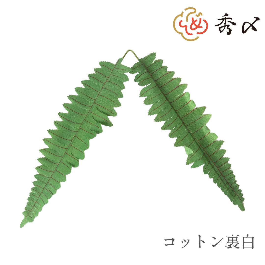 楽天市場】秀〆 正月飾り 材料 100個入り 裏白 コットンウラジロ（大