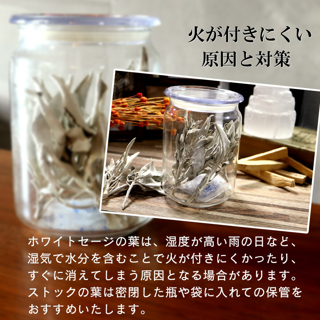 楽天市場】ホワイトセージ 枝付き 30g 選別済み 浄化用 カリフォルニア