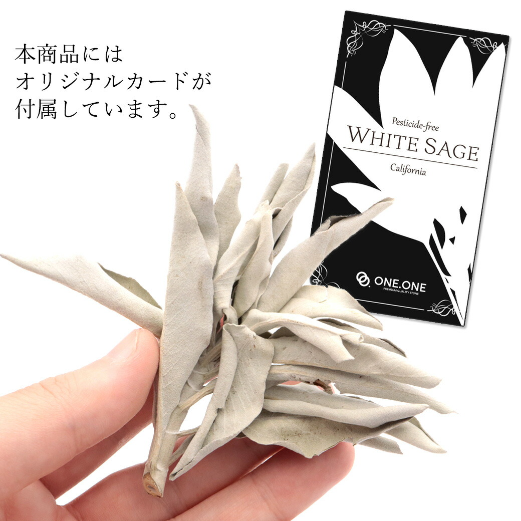 楽天市場】ホワイトセージ 枝付き 30g 選別済み 浄化用 カリフォルニア