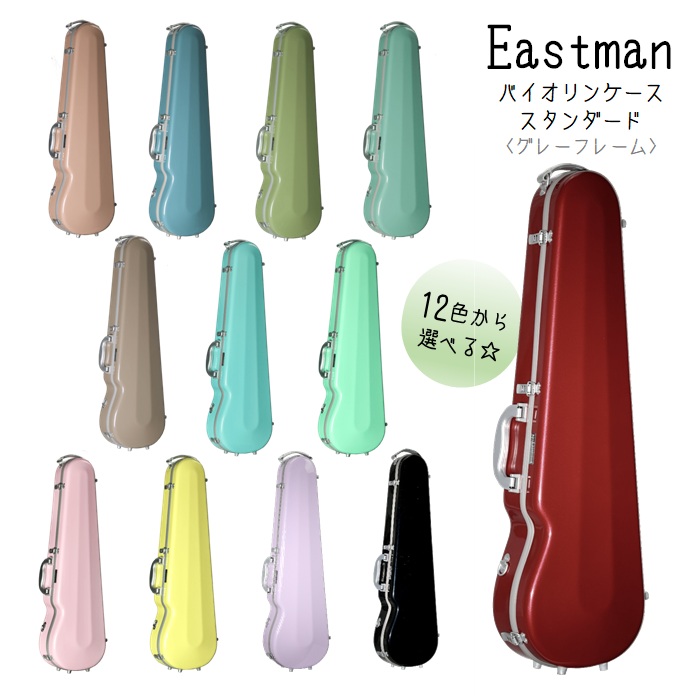 楽天市場】バイオリンケース(4/4サイズ用) □グレーフレーム