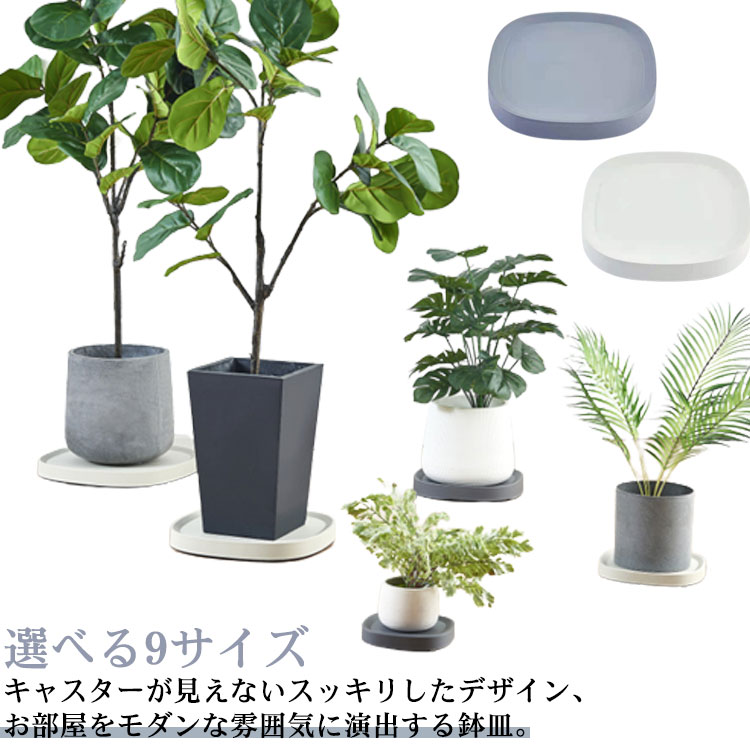 楽天市場】隠しキャスター付き鉢皿 台車 キャスター付き 鉢台 鉢皿