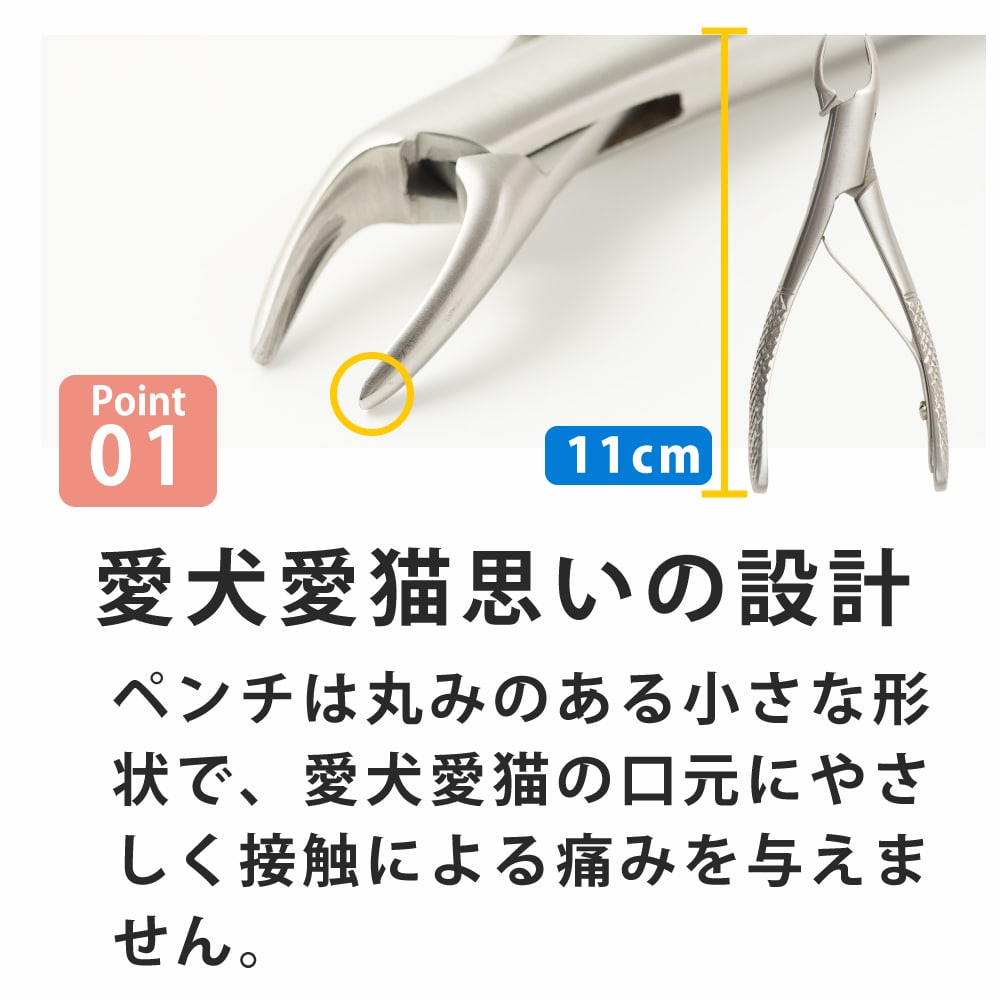 楽天市場】【割引クーポン配布中】愛犬・愛猫歯石取りペンチと